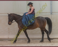 1AMAZONE- 0122